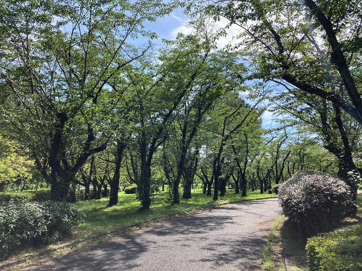 平和公園功徳院個別永代墓02
